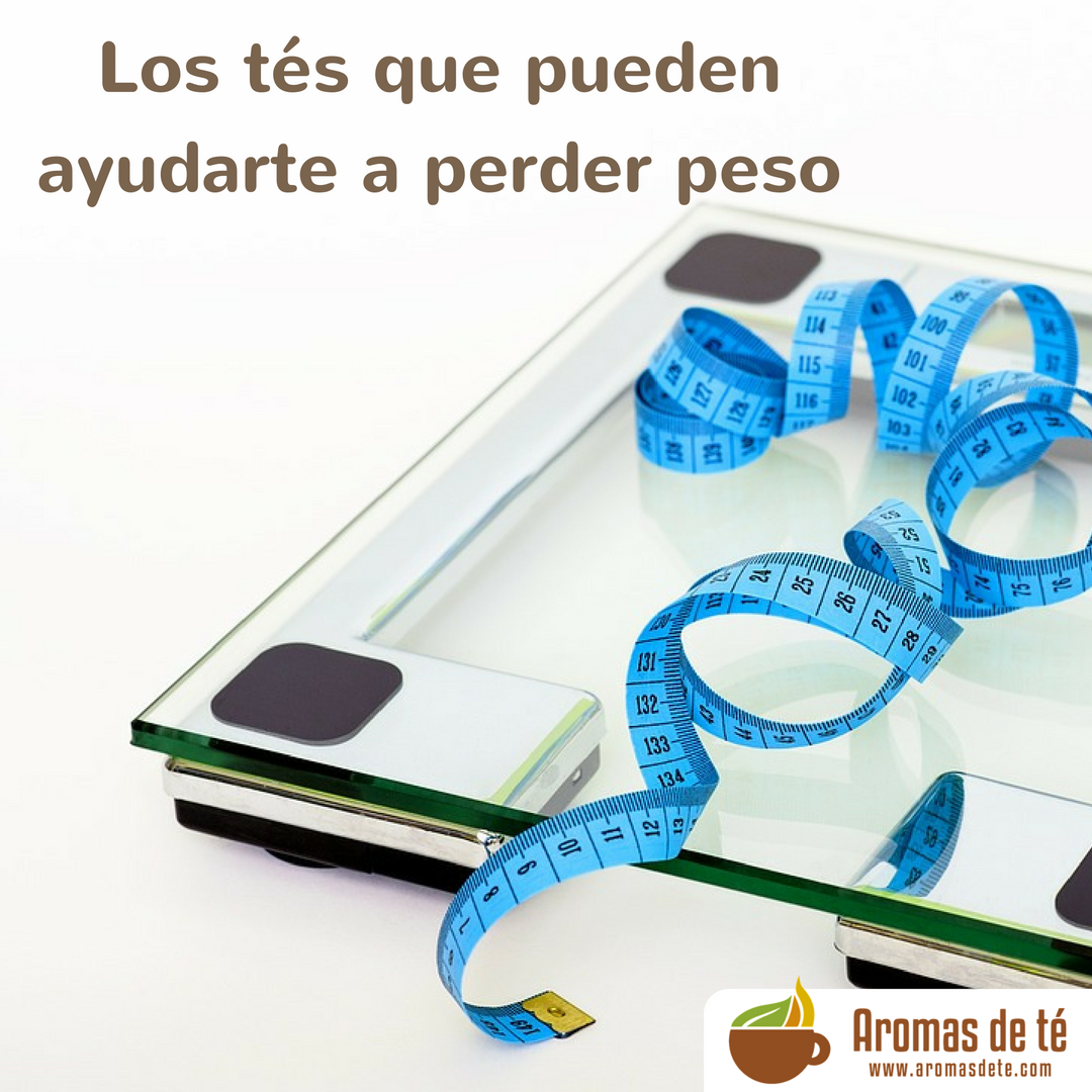 Variedades de té para perder peso