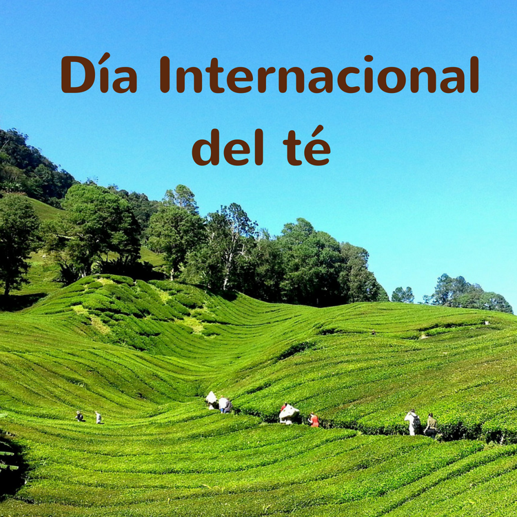 15 décembre : Journée internationale du thé