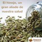 El-hinojo-un-gran-aliado-de-nuestra-salud