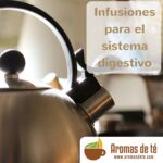 Infusió per al sistema digestiu Infusiones-para-el-sistema-digestivo