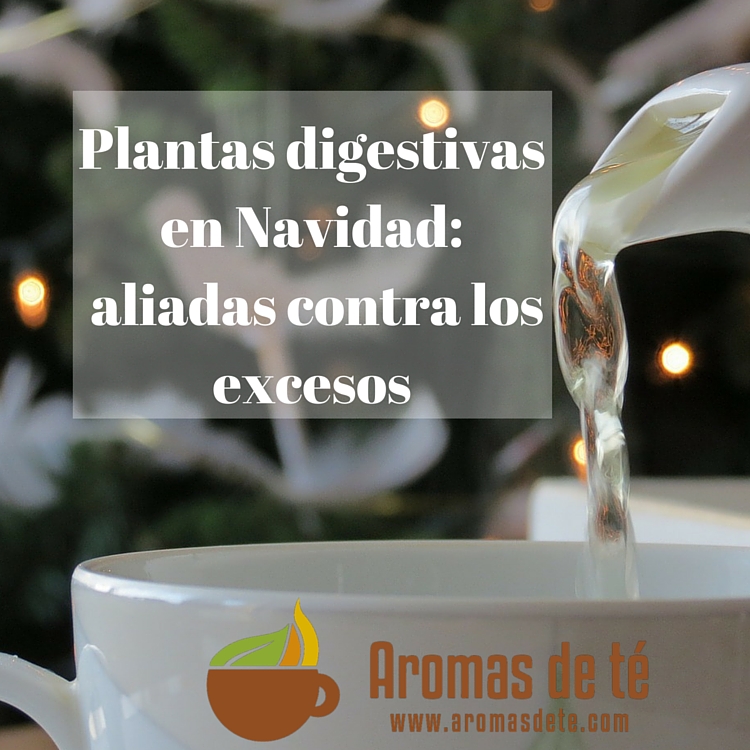 Planta digestiu Nadal: aliat contra els excessos