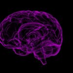 Beneficios del té verde para la memoria brain-1787622_1280