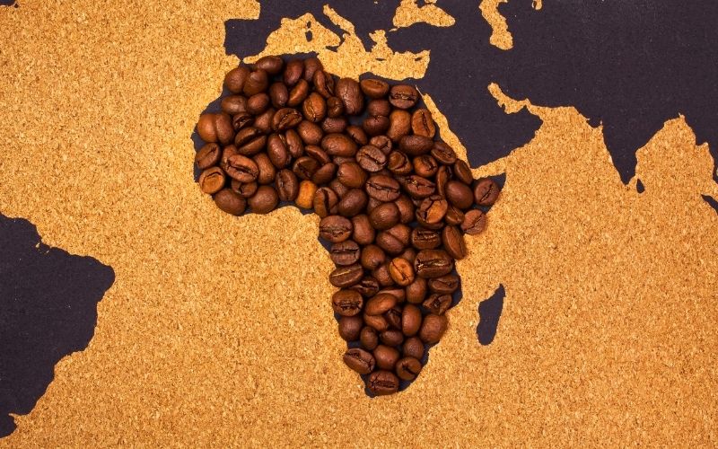 Café de África: variedades, países productores y curiosidades