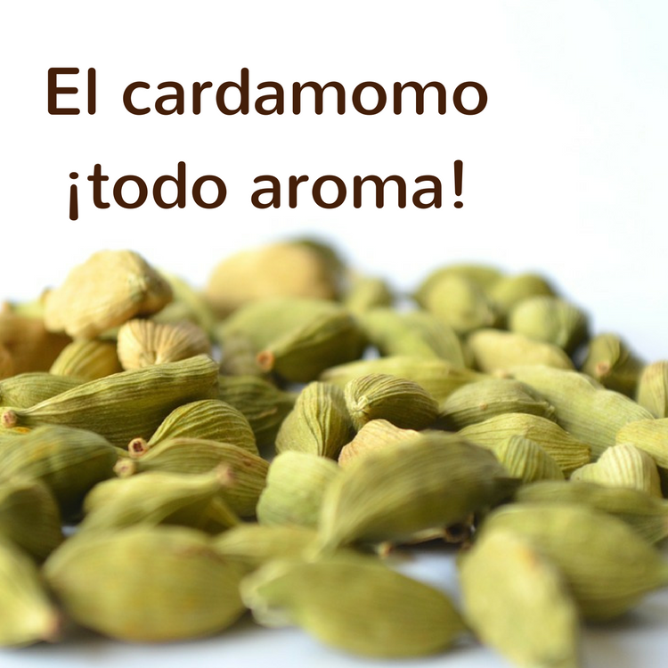 Benefits of cardamom, all aroma and taste