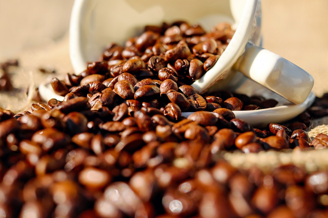 Principales tipos de café, los mejores orígenes y sus propiedades