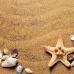 Enfermedades comunes del verano y consejos de salud enfermedades-verano-consejos-salud