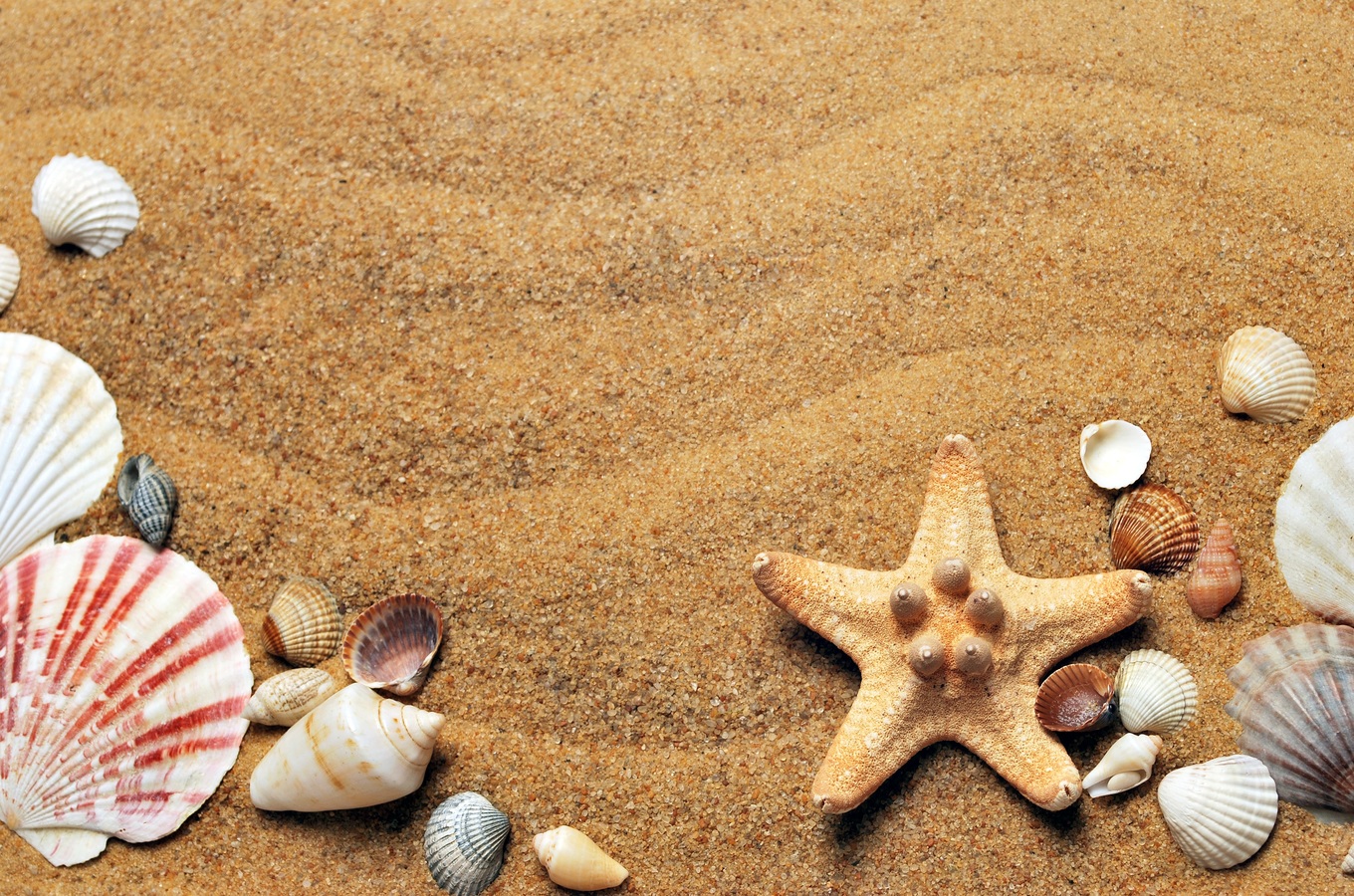 Enfermedades comunes del verano y consejos de salud