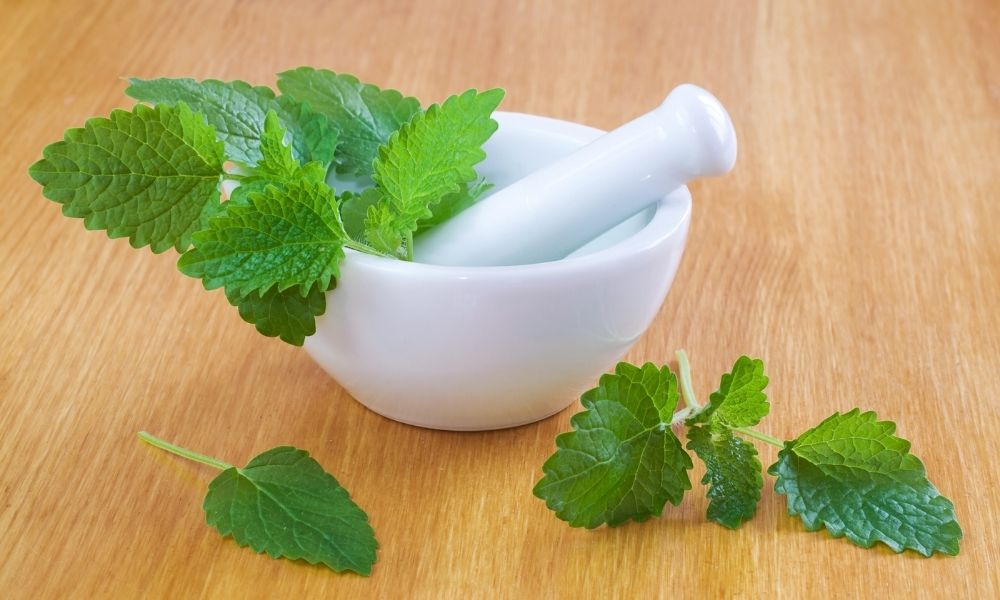 Infusiones que te ayudan a cuidar la salud cardiovascular