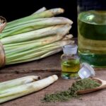 lemongrass-beneficios-usos-recetas