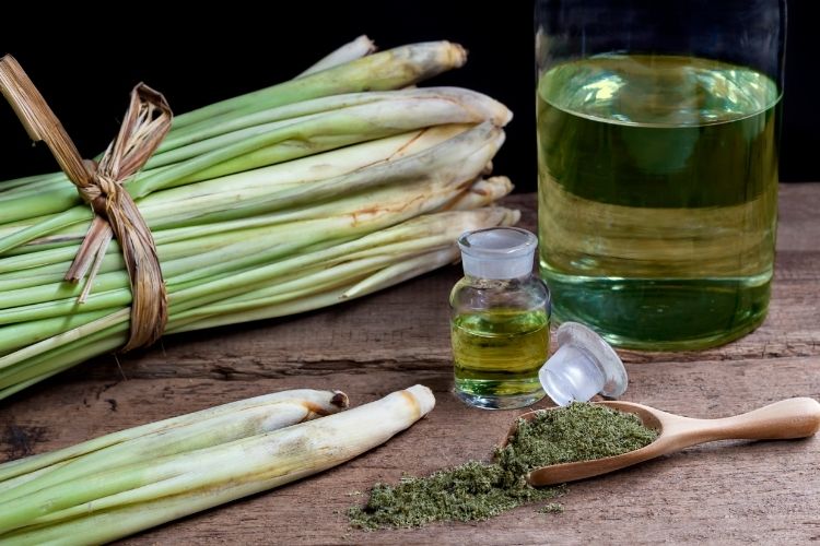 Descubre el lemongrass: propiedades, usos e infusiones que lo contienen
