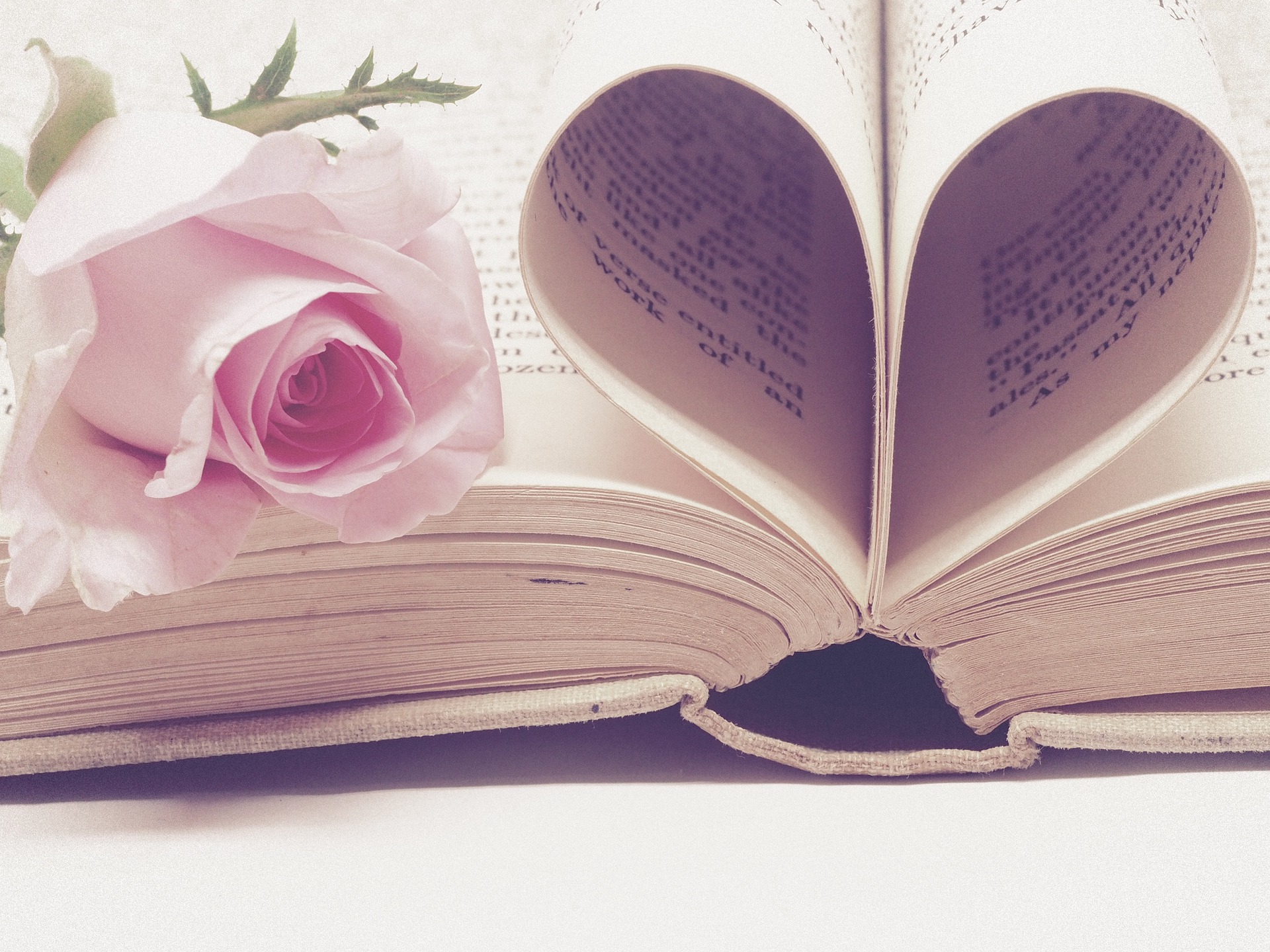 Leyendas japonesas y chinas sobre el amor y unas infusiones para acompañarlas
