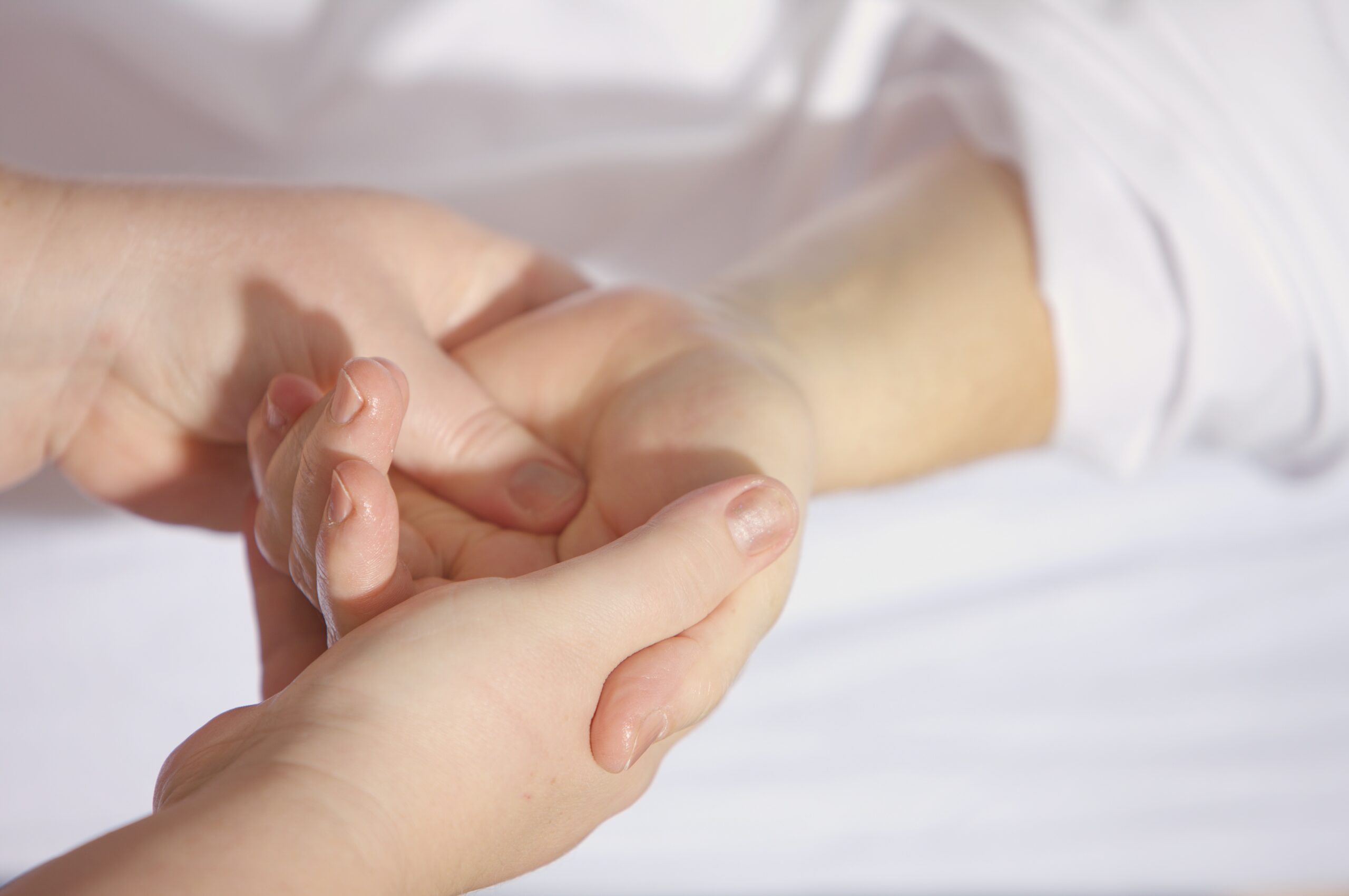 Tés e infusiones para la osteoporosis