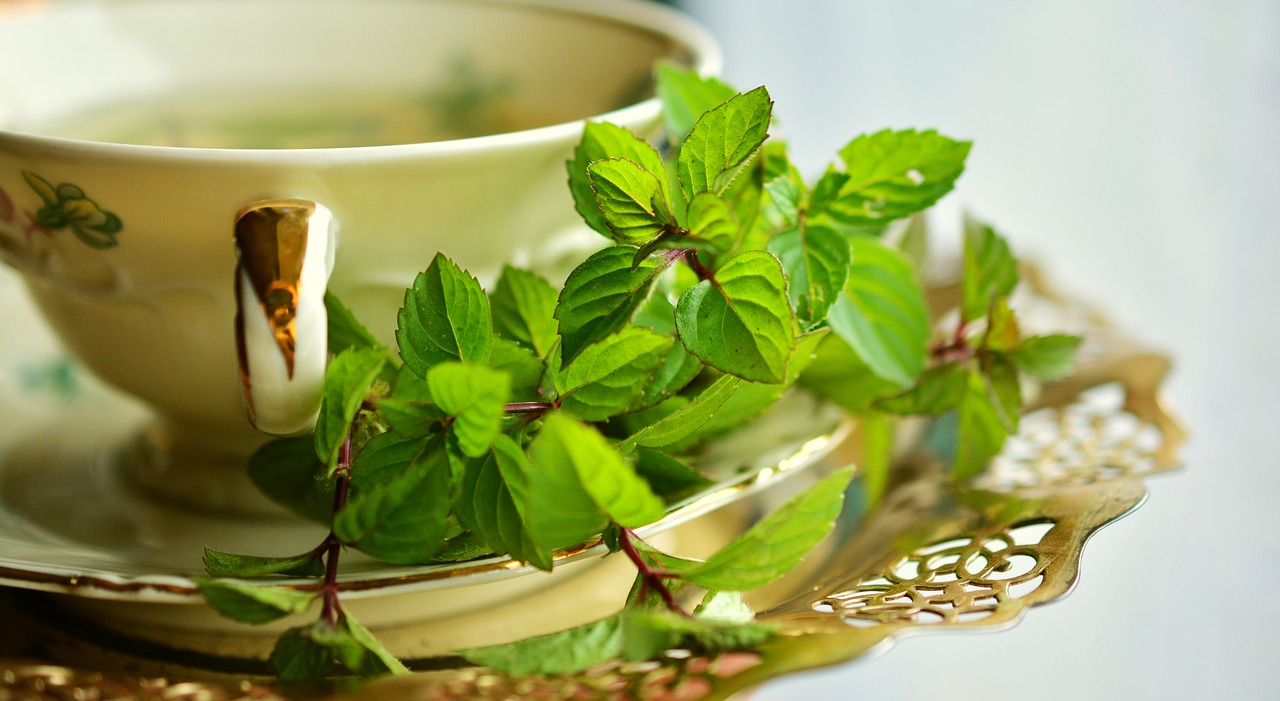 Plantas medicinales para combatir el estrés y la ansiedad