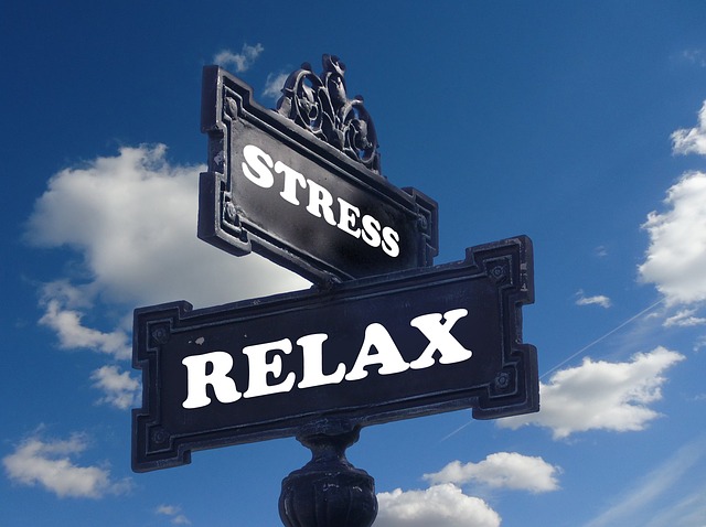 Do you suffer from stress? Tea and infusions can help you