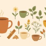 Las 8 infusiones básicas más utilizadas y sus propiedades Ilustración: Las 8 infusiones básicas más utilizadas y sus propiedades
